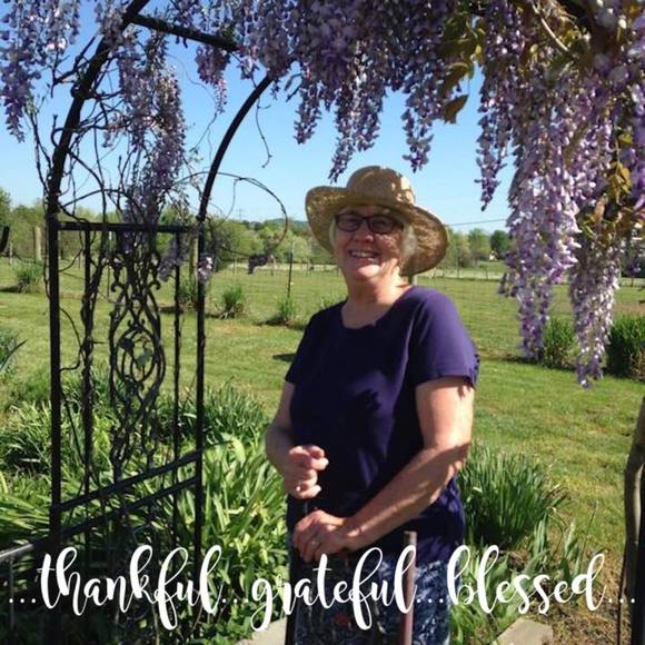 Meet your Posher, Allyson - Picture 1 of 1